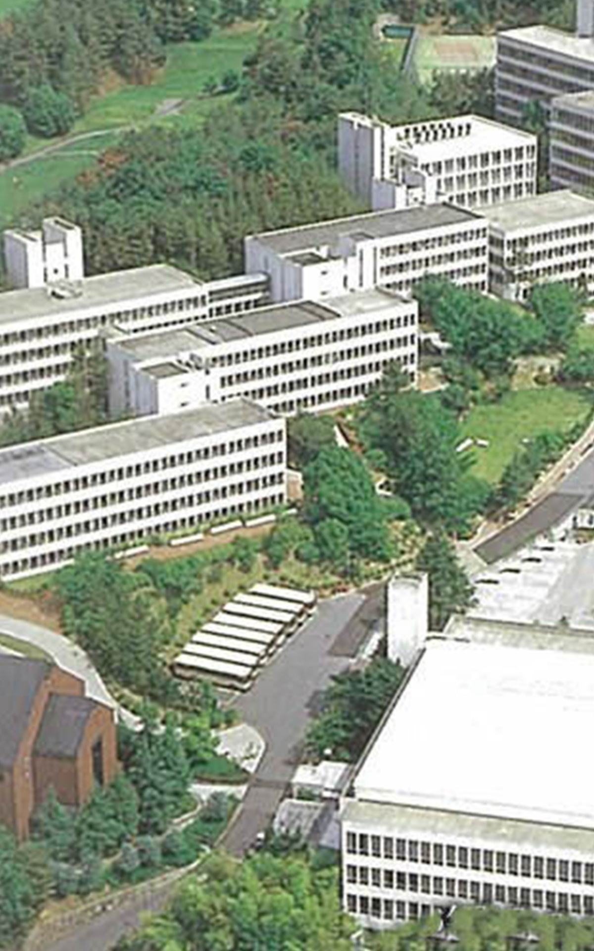 1977~梅花女子大学大学院が発足